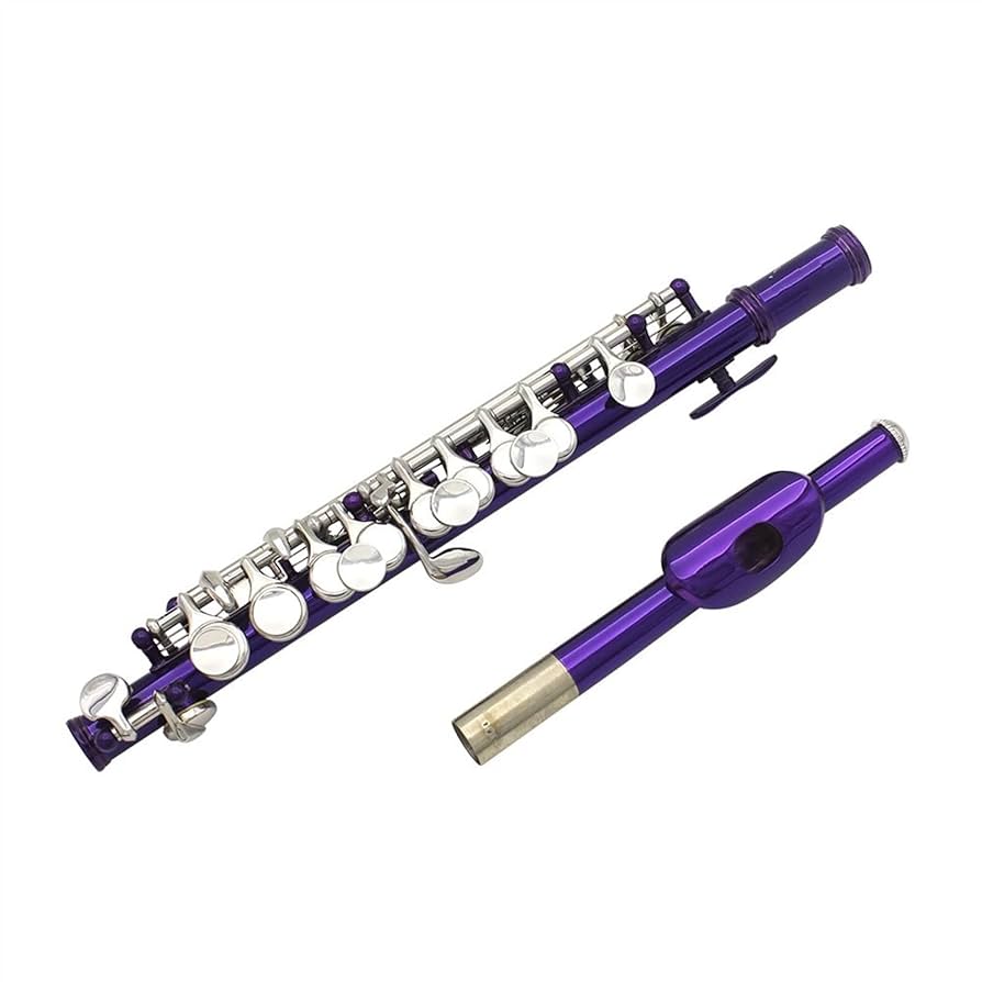 管楽器・吹奏楽器 Bullseye Flute Drive Rondino Bullseye Flute Drive Rondino 管楽器・吹奏楽器